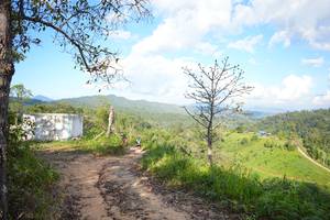 BIB: 
                            <button type="button" onclick="openModal(19332997)" class="btn btn-primary btn-sm float-right btn-popup" data-toggle="modal" data-target=".modal-high-quality">
                        <i class="fas fa-shopping-cart"></i> Add to Cart
                    </button>
                                            <button type="button" onclick="isThisMe(19332997, true)" class="btn btn-success btn-sm float-right btn-popup btn-isme hidden" data-toggle="tooltip" data-placement="bottom" title="นี่คือรูปของคุณใช่ไหม คลิกที่นี่เพื่อเอาเข้าอัลบั้ม">
                        <i class="fas fa-plus"></i> Add to album
                    </button>
                    <button type="button" onclick="isThisMe(19332997, false)" class="btn btn-warning btn-sm float-right btn-popup btn-isnotme hidden">
                        <i class="fas fa-ban"></i> Remove from album
                    </button>